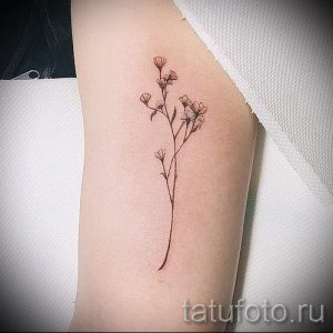 aber die einfache und schöne Tattoo - ein Foto des fertigen Tätowierung 02092016 1001 tatufoto.ru