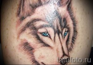 einfache Tattoo Wolf - ein Foto des fertigen Tätowierung 02092016 1026 tatufoto.ru