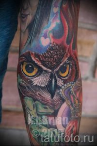 owl espace de tatouage - une photo du tatouage fini 1014 tatufoto.ru