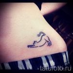 simple cat tattoo - photos of the finished tattoo 02092016 1063 tatufoto.ru