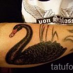 swan-tattoo-on-his-arm-photo-an-example-of-the-finished-tattoo-1018-tatufoto-ru