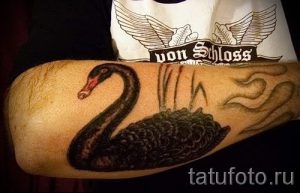 swan-tattoo-on-his-arm-photo-an-example-of-the-finished-tattoo-1018-tatufoto-ru