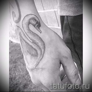 tattoo-white-swan-photo-an-example-of-the-finished-tattoo-1022-tatufoto-ru