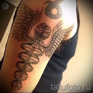 Тату Кадуцей фото - амулет удачи тату 3161 tatufoto.ru