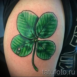 Тату Четырехлистный клевер фото - тату удачи успеха благополучия 4476 tatufoto.ru