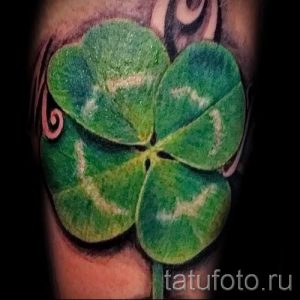 Тату Четырехлистный клевер фото - фото тату которые приносят удачу 7487 tatufoto.ru