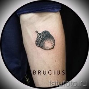 Тату желудь фото - тату на удачу достаток и любовь 1052 tatufoto.ru