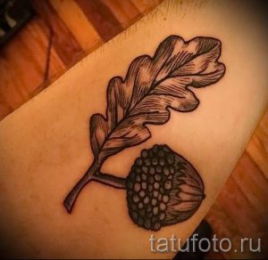 Тату желудь фото - тату на удачу достаток и любовь 2053 tatufoto.ru