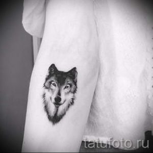 простые тату волка - фото готовой татуировки 02092016 2190 tatufoto.ru