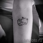 простые тату кошки - фото готовой татуировки 02092016 3243 tatufoto.ru