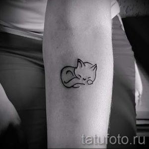 простые тату кошки - фото готовой татуировки 02092016 3243 tatufoto.ru