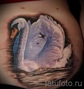 tatu-belyj-lebed-foto-primer-gotovoj-tatuirovki-3027-tatufoto-ru