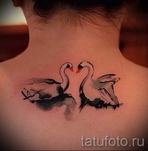 tatu-belyj-lebed-foto-primer-gotovoj-tatuirovki-5029-tatufoto-ru