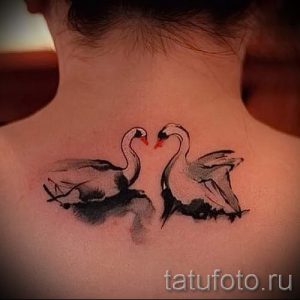 tatu-dva-lebedya-foto-primer-gotovoj-tatuirovki-2039-tatufoto-ru