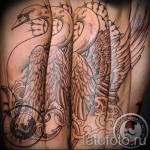 tatu-lebed-na-ruke-foto-primer-gotovoj-tatuirovki-1103-tatufoto-ru