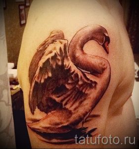 tatu-lebed-na-ruke-foto-primer-gotovoj-tatuirovki-2104-tatufoto-ru