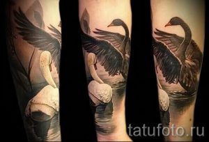 tatu-lebed-na-ruke-foto-primer-gotovoj-tatuirovki-5107-tatufoto-ru