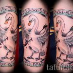 tatu-lebed-foto-primer-gotovoj-tatuirovki-25072-tatufoto-ru