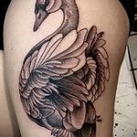 tatu-lebed-foto-primer-gotovoj-tatuirovki-28075-tatufoto-ru