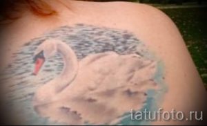 tatu-lebed-foto-primer-gotovoj-tatuirovki-39086-tatufoto-ru