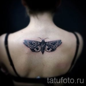 tatu-na-pozvonochnike-risunok-vdol-primer-foto-045-tatufoto-ru