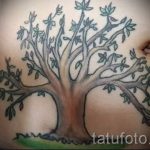 тату на шраме от аппендицита - фото пример готовой татуировки 01092016 17032 tatufoto.ru