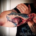 Смешная тату акула на руке