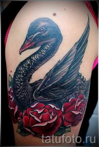 chernyj-lebed-tatu-primer-gotovoj-tatuirovki-2134-tatufoto-ru