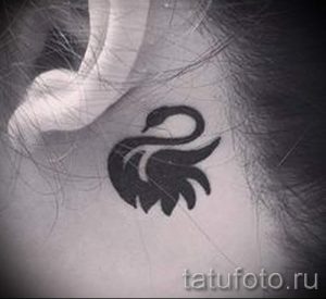 chernyj-lebed-tatu-primer-gotovoj-tatuirovki-6138-tatufoto-ru