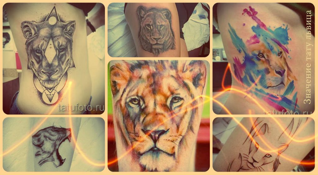 Значение тату львица - информация и фото примеры классных татуировок