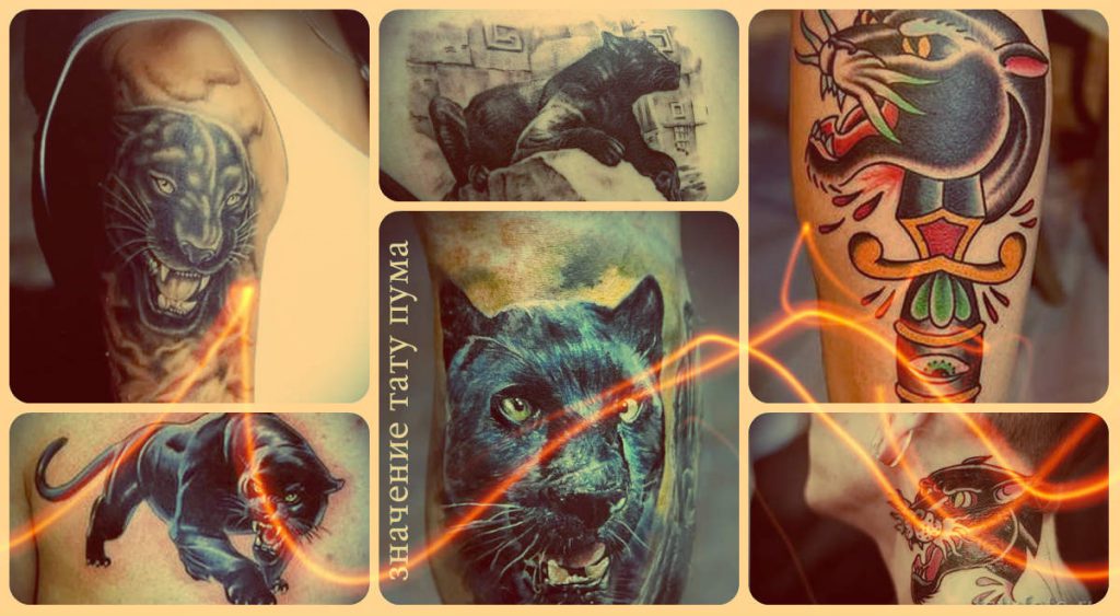 Значение тату пума - информация про смысл и фото примеры готовых татуировок
