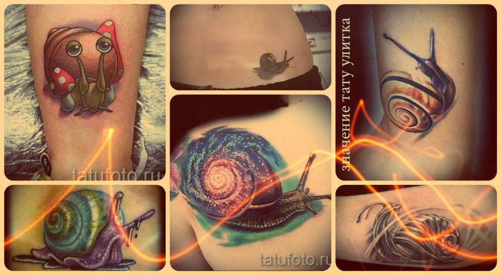 Значение тату улитка - интересная информация и примеры готовых тату на фото