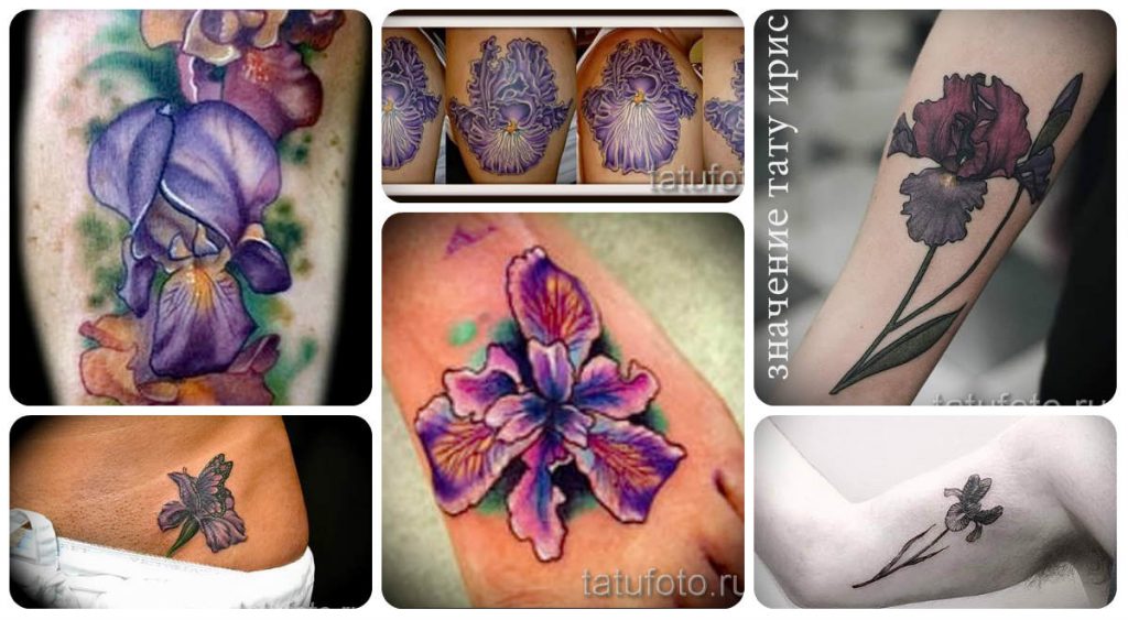 Ирис тату значение - информация по теме и римеры фото татуировок