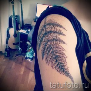 Классная тату папоротник на фото - для статьи про значение татуировки 2