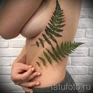Классная тату папоротник на фото - для статьи про значение татуировки 3