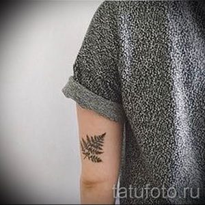 Классная тату папоротник на фото - для статьи про значение татуировки 5
