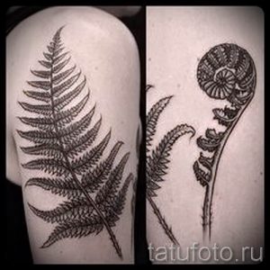 Классная тату папоротник на фото - для статьи про значение татуировки 9