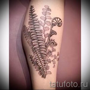 Классная тату папоротник на фото - для статьи про значение татуировки 10