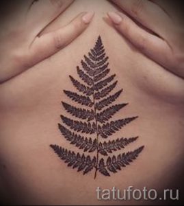 Классная тату папоротник на фото - для статьи про значение татуировки 18