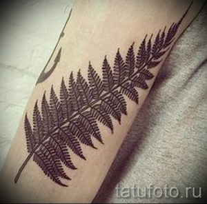 Классная тату папоротник на фото - для статьи про значение татуировки 20