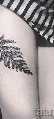 Классная тату папоротник на фото — для статьи про значение татуировки 28