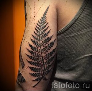 Классная тату папоротник на фото - для статьи про значение татуировки 33