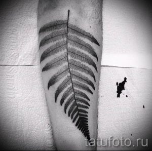 Классная тату папоротник на фото - для статьи про значение татуировки 34