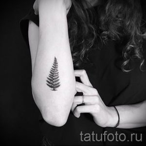 Классная тату папоротник на фото - для статьи про значение татуировки 35
