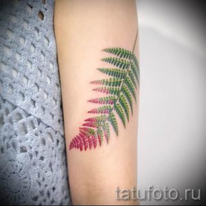 Классная тату папоротник на фото - для статьи про значение татуировки 36