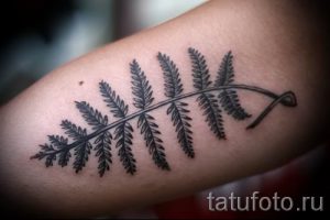 Классная тату папоротник на фото - для статьи про значение татуировки 40