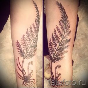 Классная тату папоротник на фото - для статьи про значение татуировки 46