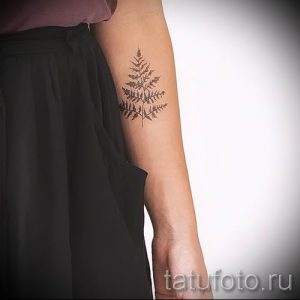 Классная тату папоротник на фото - для статьи про значение татуировки 56
