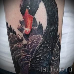 Пример татуировки с лебедем - фото для статьи про значение тату 4