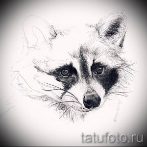 Фото тату портрета енота, выполненного в реалистичном стиле с использованием черных и серых оттенков. Детализированный и выразительный эскиз татуировки.